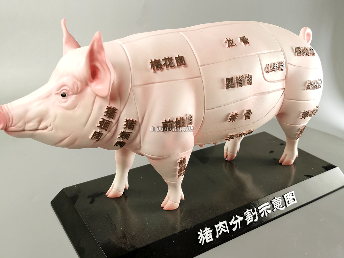 猪肉分割示意图仿真动物模型生产厂家