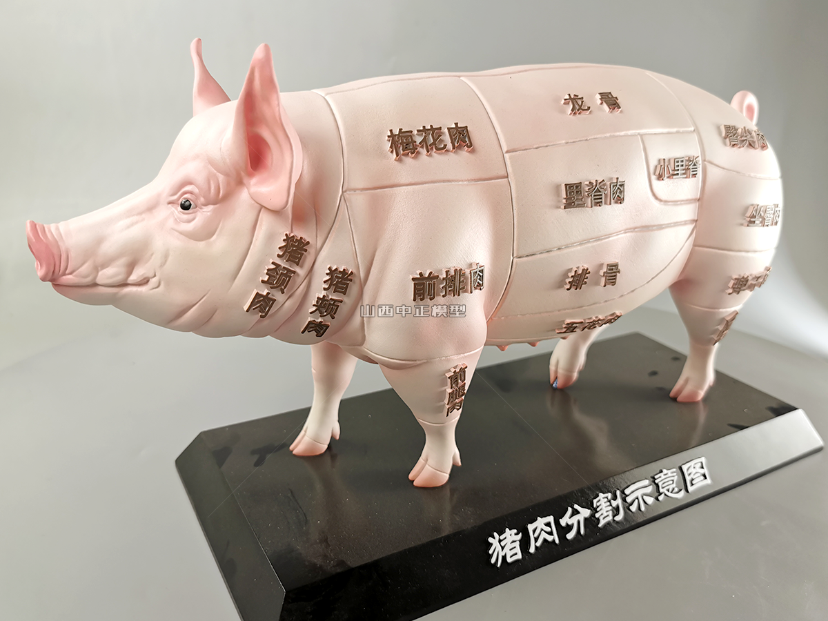 猪肉分割示意图仿真动物模型生产厂家