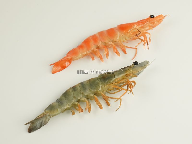 青红大虾食材食物模型制作
