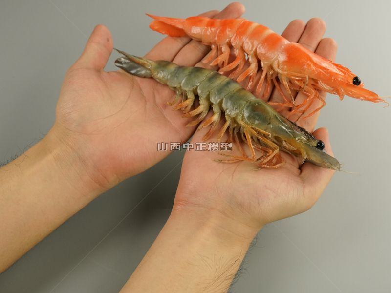 青红大虾食材食物模型制作