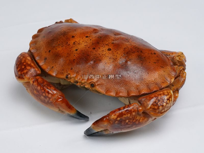 红色大螃蟹海鲜食品仿真动物模型生产厂家