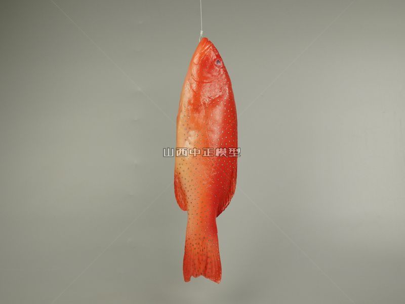 红色鱼海鲜食物模型制作