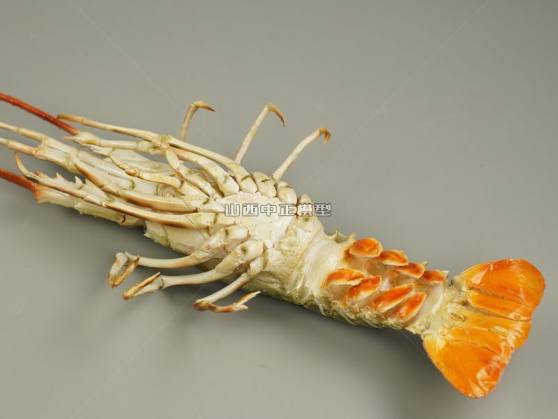 花龙虾食品模型仿真菜