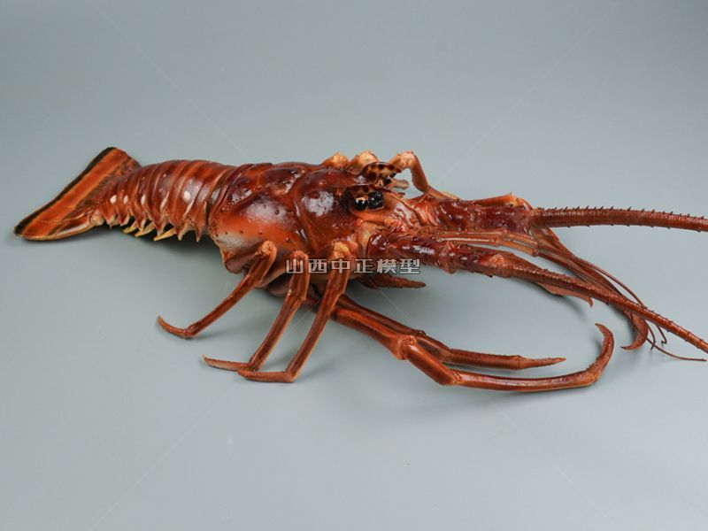 波士顿大龙虾活虾动物模型仿真