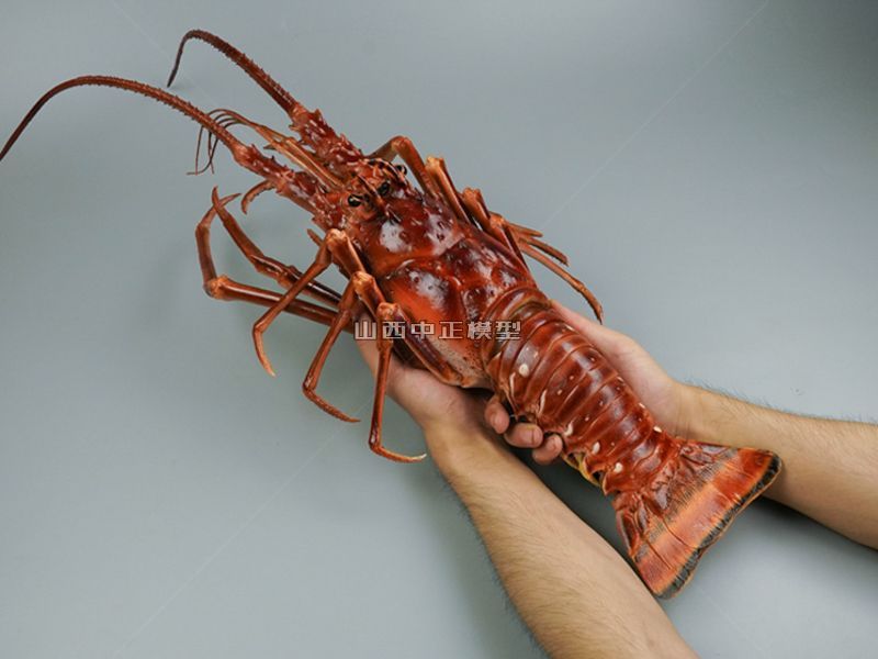 波士顿大龙虾活虾动物模型仿真