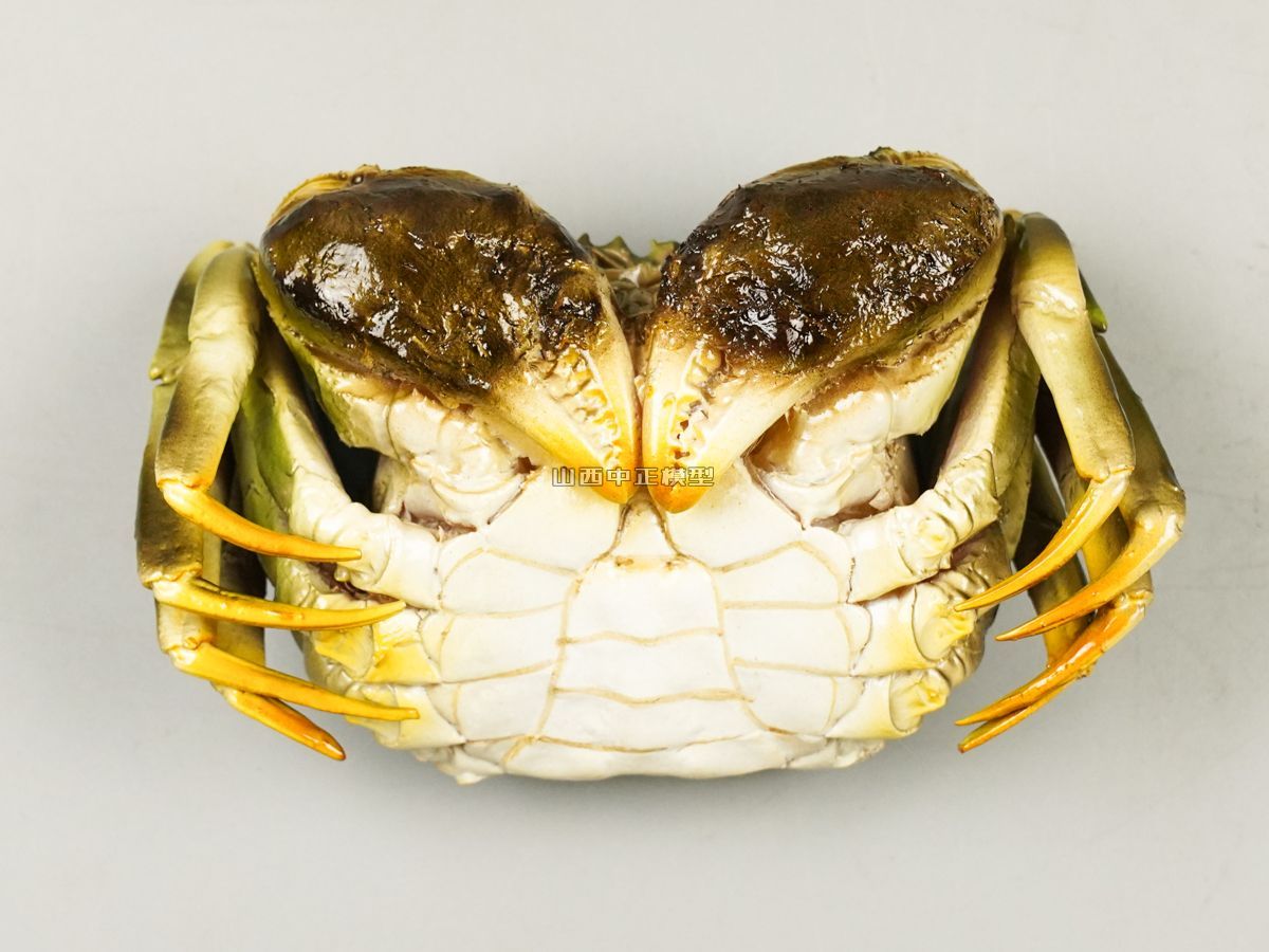 青红螃蟹模型仿真动物模型厂