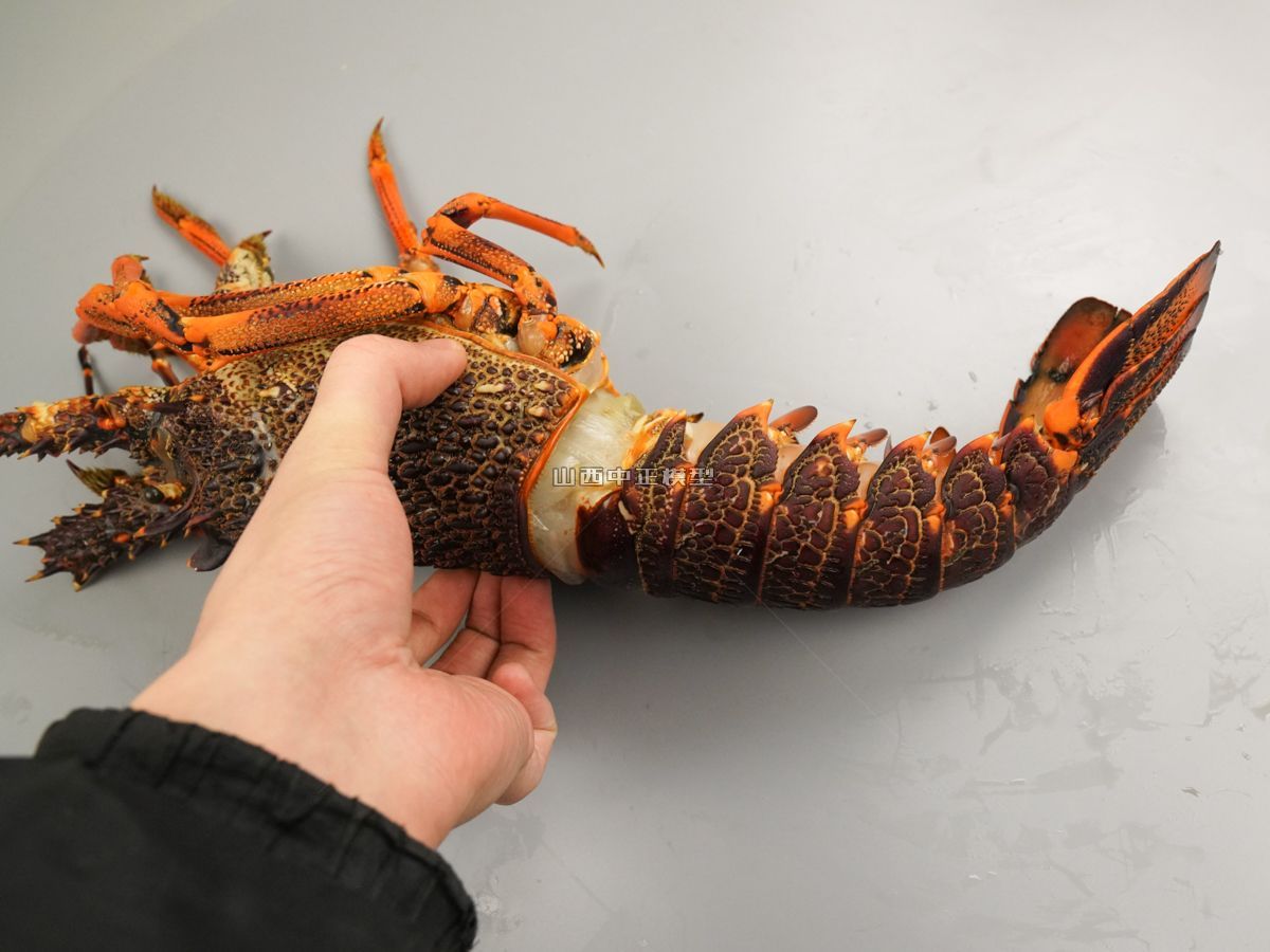 大龙虾海鲜动物仿真模型