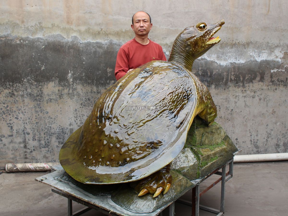 大型甲鱼仿真动物模型制作